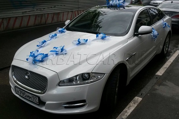 Аренда Синее украшение на машину на свадьбу