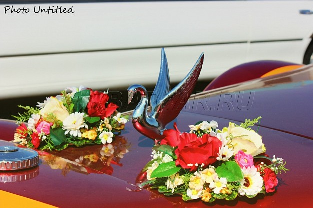 Аренда Ретро-автомобиль Ecalibur Phantom Бордовый на свадьбу – фото 2
